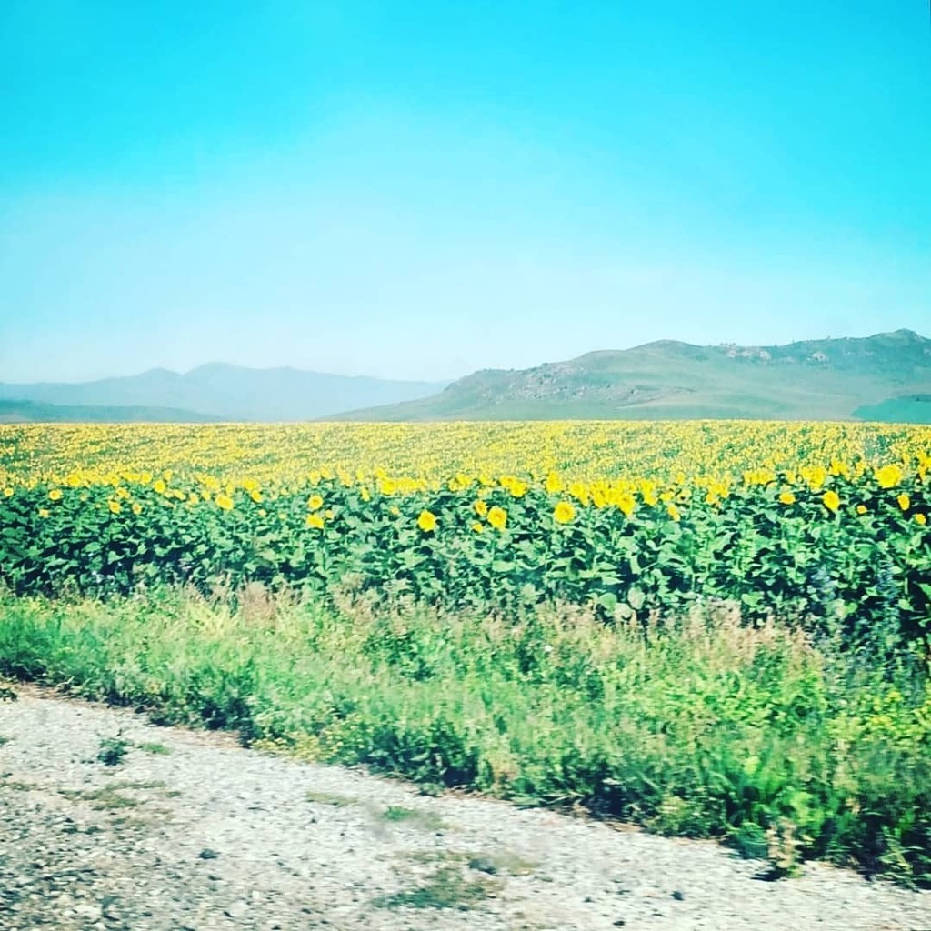 lissachenko's tweet photo. Today it's -15 C outside and it's snowing. Mid November. And I already missed the warm summer 🌻
What's the weather like in your city today?
.
Сегодня на улице - 15 С и идет снег. Середина Ноября. И я уже скучаю по теплому лету 🌞
А в вашем городе кака… https://t.co/VQMuEO520K https://t.co/qapDb294FH