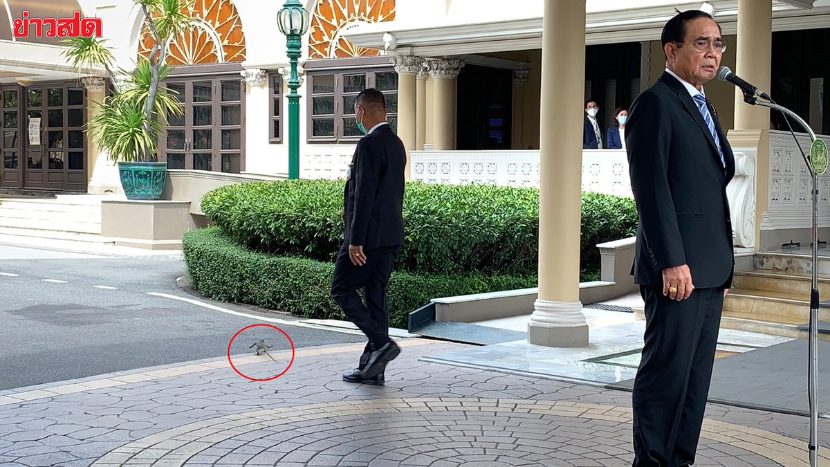 joe_black317's tweet photo. ด่วน!!! 555  #ประยุทธ์ ยืนแถลงข่าวที่ทำเนียบ ปรากฏว่าลูกตัวเหี้ย เอ้ย #ตัวเงินตัวทอง คลานมาร่วมฟังการแถลงด้วย จนจนท.ต้องเดินไปไล่
#ม็อบ18พฤศจิกา https://t.co/4uM3EXMZnV