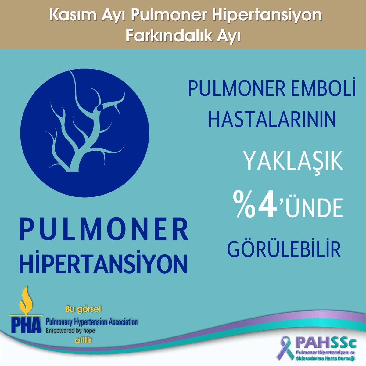 PAHSScDernegi's tweet photo. Kasım Ayı Pulmoner Hipertansiyon Farkındalık Ayı
Her 25 pulmoner emboli hastasının 1'inde pulmoner hipertansiyon görülebileceğini biliyor muydunuz?
#KronikTromboembolikPulmonerHipertansiyon #KTEPH #PulmonerEmboli #Emboli #tromboz #sağlık #trombosis #pıhtı #pihti #Embolism https://t.co/fXjrd1lqO7
