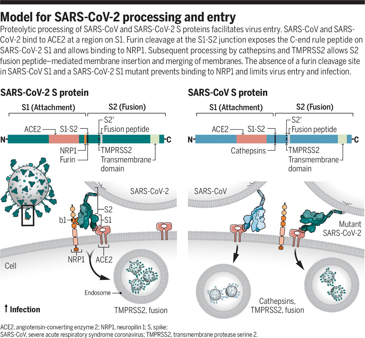 ScienceMagazine tweet picture