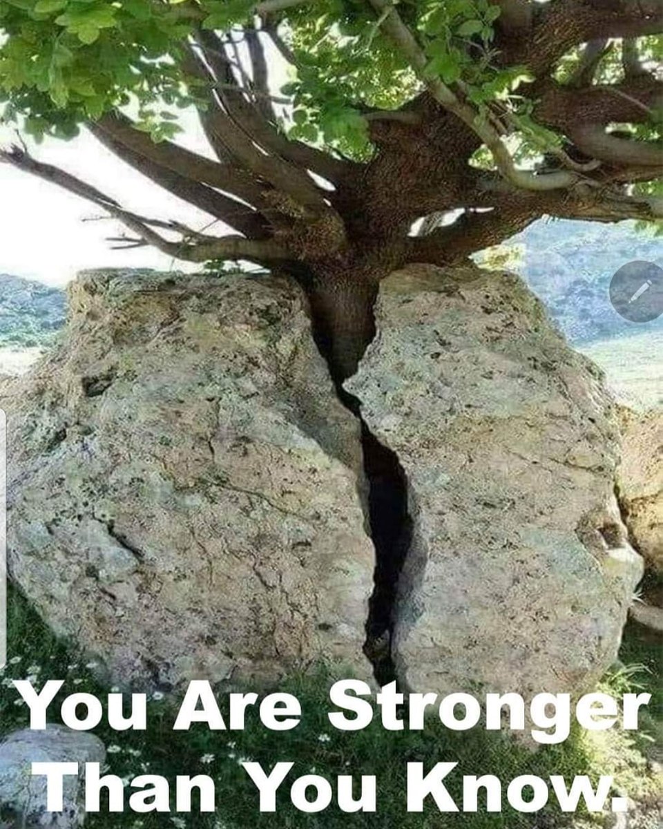 pastorpoju's tweet photo. Never forget this. If you don't surrender in inferiority you will crack it with persistence. https://t.co/eiR92pvbvO