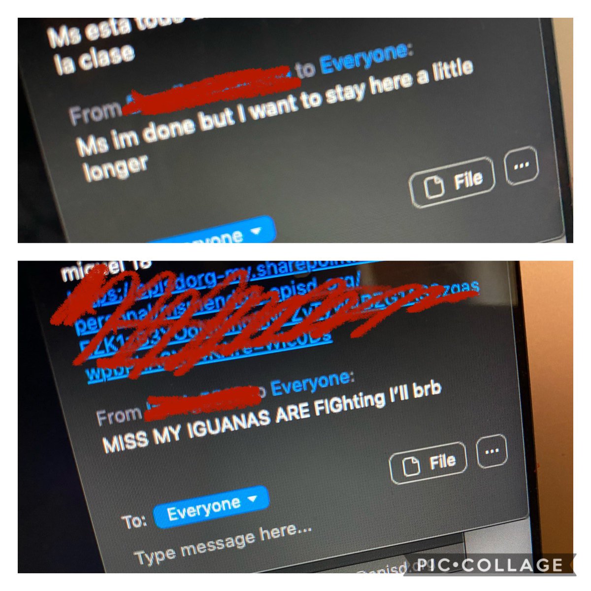 LaMissDeScience's tweet image. 2 little zoom moments that made my day today. I need to start saving more of these. I need these kids as much as they need us. Stay sane teachers 💪🏼 #foxes #asynchronouslearning #GoodVibes @JSHS_Official