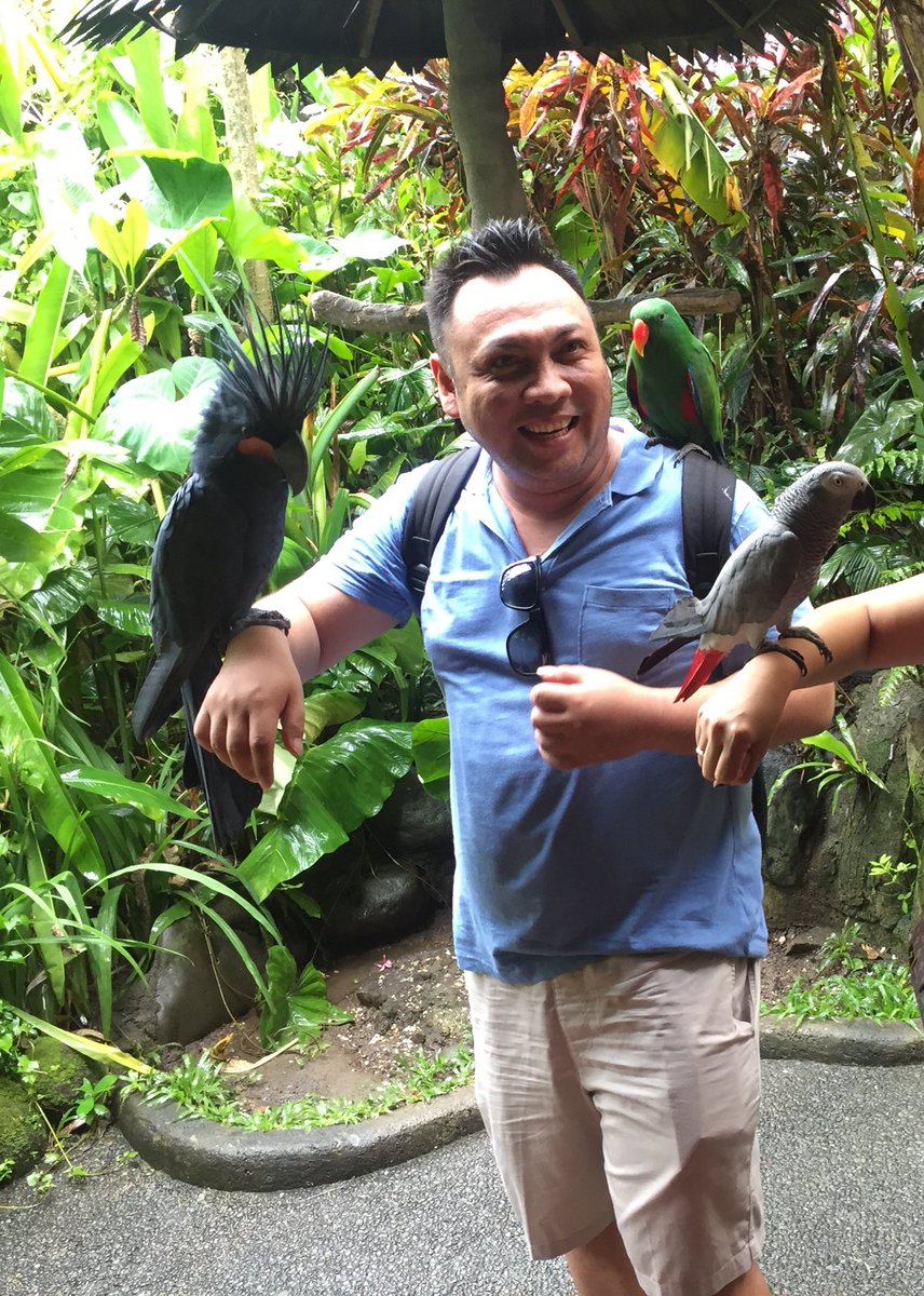 dindopic's tweet photo. Selamat hari burung om @enricopelenkahu 🥳🥳 https://t.co/peR7eLloiJ