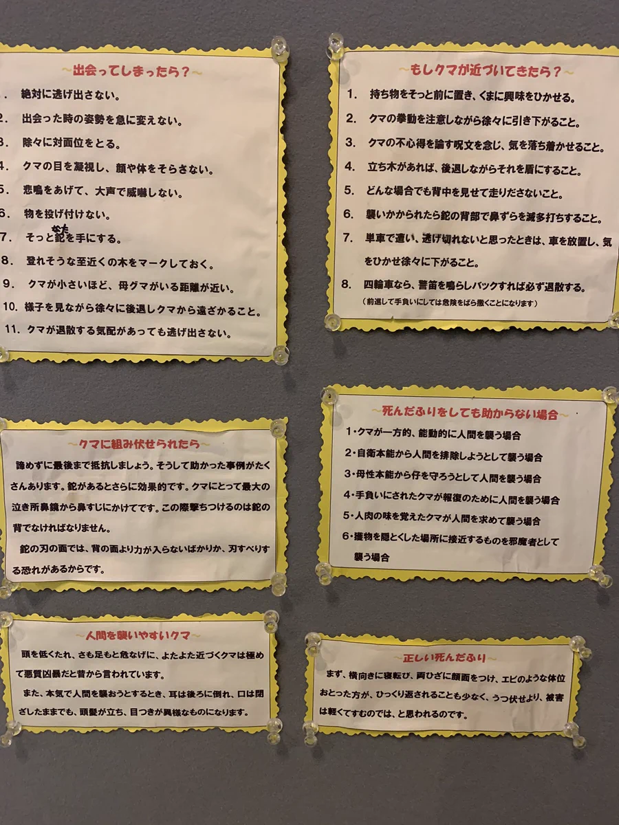 知っておくといつか命を救われる日が来るかも･･･？クマと出会ってしまったときの対処法！