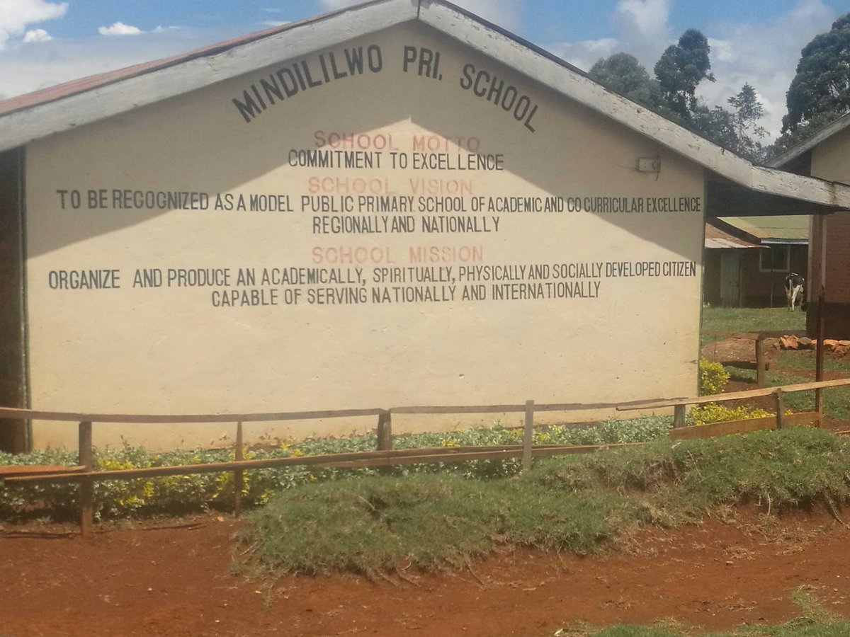 Moja Network tweet media