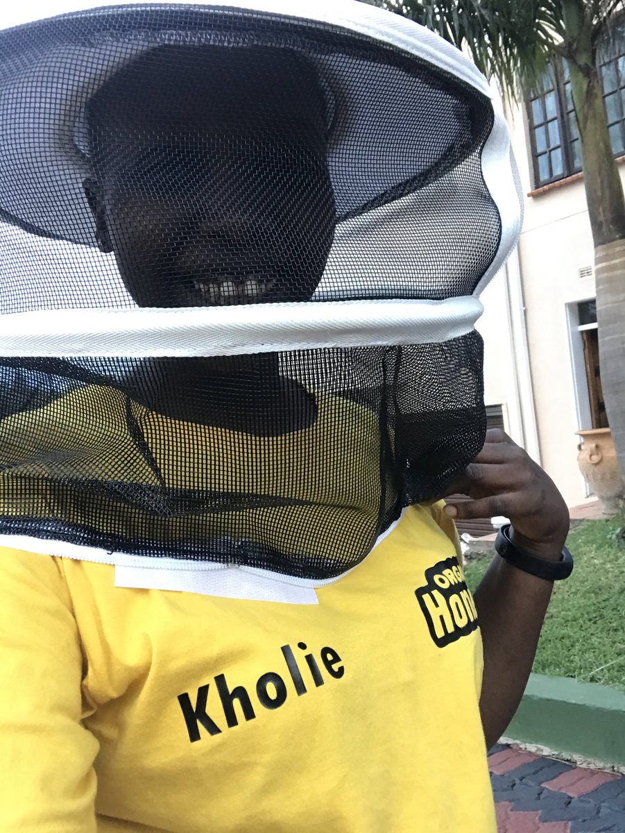 A good day to save the bees, Don’t you think!
<a href="/J_Murove/">Gweru's Very Own 🐼</a>
@ShadayaKnightX 
<a href="/mentorshipzim/">Mentorshipzim</a> 
@kedukudzi 
<a href="/AlakeBeeFarm/">ALAKE BEE FARM</a> 
<a href="/farm_zimbabwe/">Farm Life Zimbabwe</a> 
<a href="/mrLethario/">Pastor Farmer 🇿🇼 🌾🥔🥚🐂</a> 
<a href="/torencett/">Farm@Addict</a> 
<a href="/corporatefarmg1/">Tanaka Farm and Ranch #Seedlings🇿🇼🇿🇲</a> 
<a href="/kgosinyathi/">Kgosi Nyathi</a> 
<a href="/kebby971/">Kebby</a> 
<a href="/Bohemiabees/">Bohemia Apiary</a> 
<a href="/aproko_doctor/">Dr. Chinonso Egemba</a> 

How? Plant a bee friendly flower, crop/citrus🌳🐝