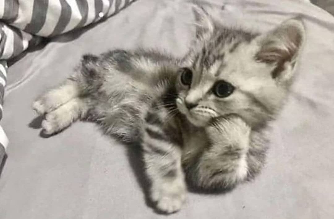 Sen kalacak mısın bu gece?