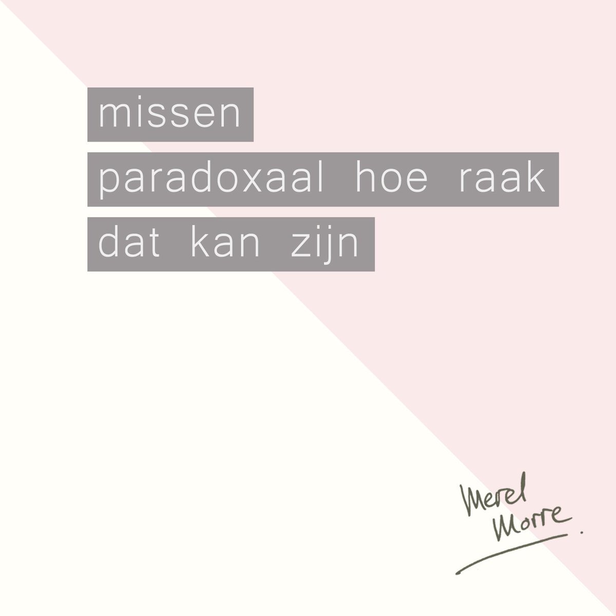 Merel Morre (@merelmorre) on Twitter photo 