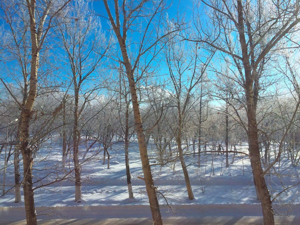Yes_Farida's tweet photo. 겨울이 🥶 https://t.co/UGqECmuJsh