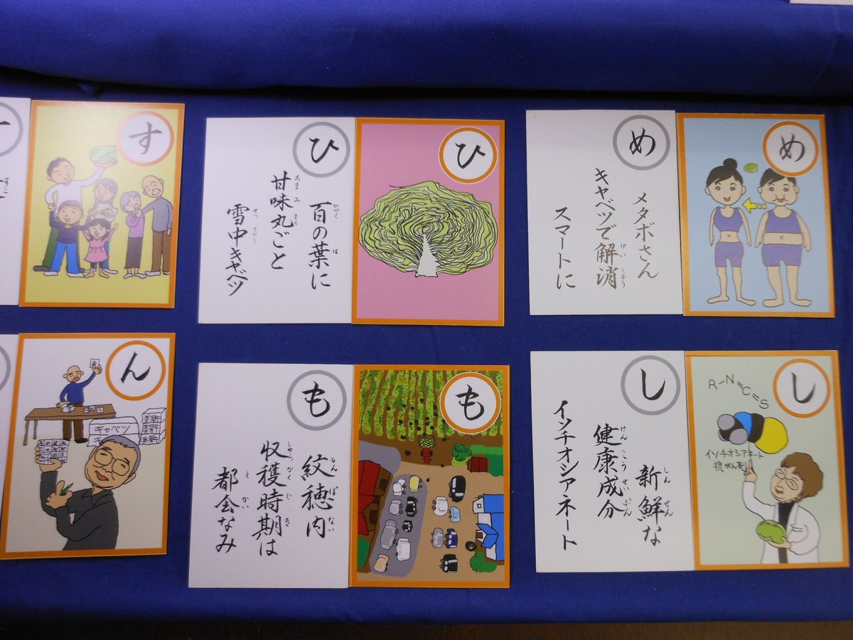 北海道立図書館 キャベツ愛溢れるカルタを展示中 キャベツ歌留多 緑色の収納袋が目を引く 雪中キャベツを紹介するカルタです 展示中の札は 札幌市立大学の学生が 当館でのインターンシップの際に 読み札 絵札各45枚の中から選んでくれました