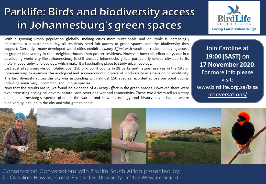 BirdLife_SA's tweet photo. ICYMI #ConservationConservations: Catch Dr Caroline Howes webinar on the diversity of birds across Johannesburg's urban green spaces and how access to the biodiversity within these parks is influenced by a number of factors. Watch the recording here: https://t.co/lW8V7T940d https://t.co/ED3nH2KXQy