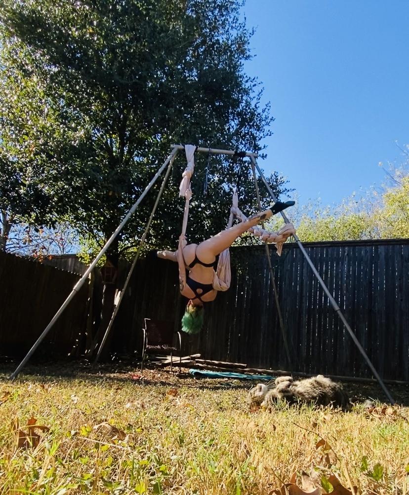 acid_eitak's tweet photo. I love being bendy !! I am not sure how to explain it but the pleasure of being ripped apart is dear to my heart. https://t.co/PMRRgs8bJo