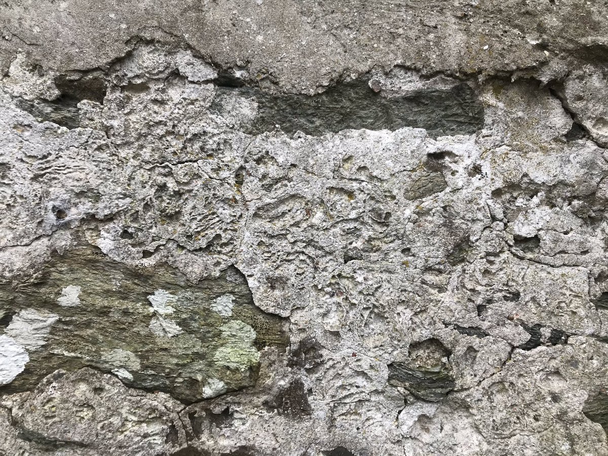 They are formed under certain (often damp) conditions when components of the mortar precipitate to the surface. They reform into rings and spirals, disrupting the smooth surface. Nature making its own decoration.6/6