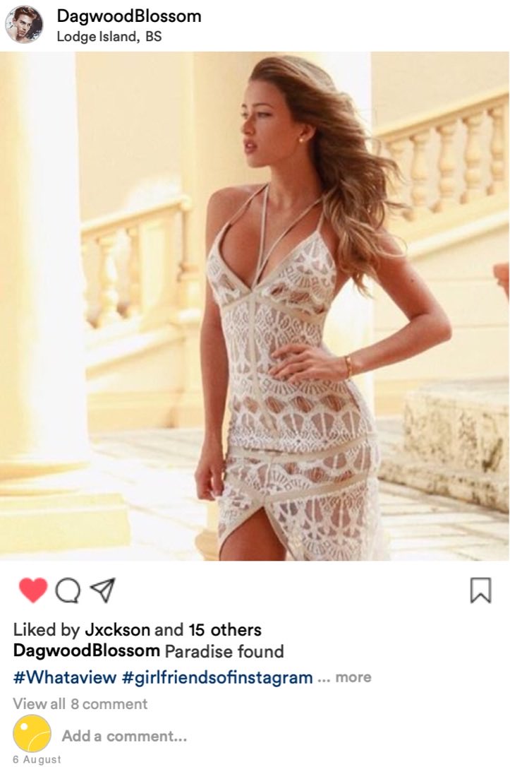 𝕯𝒂𝒈𝒐𝒘𝒐𝒐𝒅 𝕭𝒍𝒐𝒔𝒔𝒐𝒎 (@mapleheir) on Twitter photo 