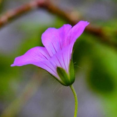 #صورة_جديدة_للملف_الشخصي