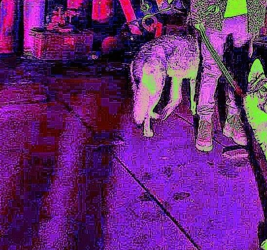 𓈒  ᚐ𓊪̳‡  ⚫️ 𓈒 ❨ #ⱧØTLØØK ❩  M͟ ARKLEE⸝  ลฟตท ˙ 𓈒