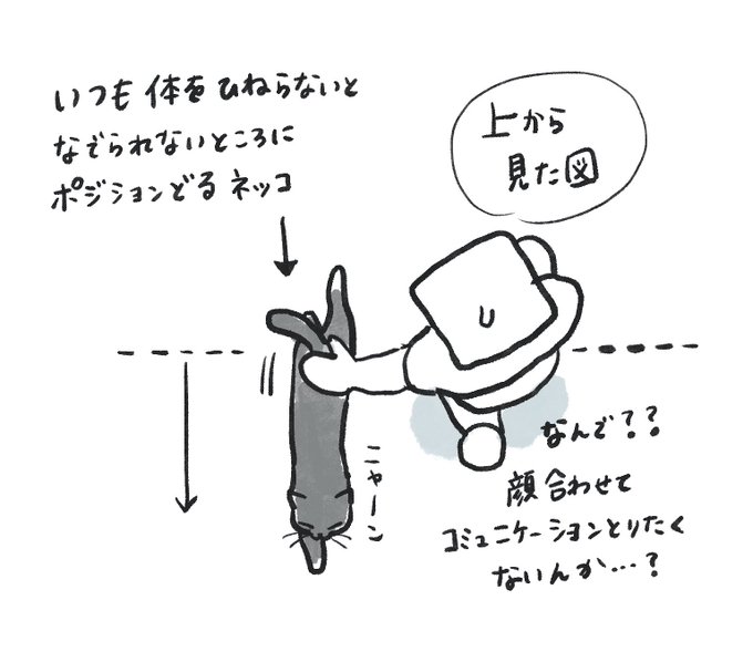 ネッコの七不思議……
だいたい真横か、ちょっと後ろの方でなで待機してる…… なんでよ。 