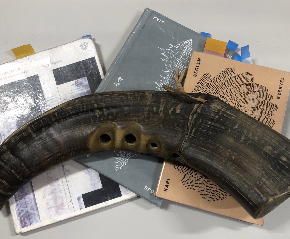 Ny singel på gang. 26.nov. kjem den. Duvande poesi på bukkehorn, bass, trommer, langeleik, munnharpe, stemme.  Du kan følga på Spotify. #eitlivilyd #skir