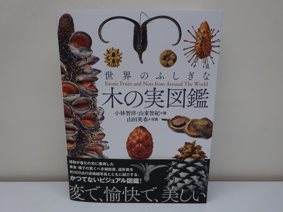 精文館書店 本店3ｆ Pa Twitter 小林智洋 山東智紀 山田英春 世界のふしぎな木の実図鑑 創元社 入荷しました 植物が進化の末に獲得した果実 種子の驚くべき機能美 造形美 ユニークな外形に焦点を当てて厳選した世界中の様々な木の実を 約300点の高精細写真