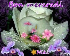 Bj a tous ,bon mercredi à chacun 🍀🌸🍀🌸🍀🌸🍀
<a href="/GDroneau/">eveinegC</a> <a href="/AndjelkaPe/">🦌DARLING🐶</a> @emmrence <a href="/lamascotte1/">lamascotte (45)</a> 
<a href="/guyboutault/">boutault guy</a> <a href="/Becassier1/">Becassier</a> <a href="/17Anne17/">-Anne-Coline</a> <a href="/lebeaumatou/">gilbertlouis14</a> <a href="/RSCLdaniel/">fandanne.rscl</a>🍀🍀🍀🍀