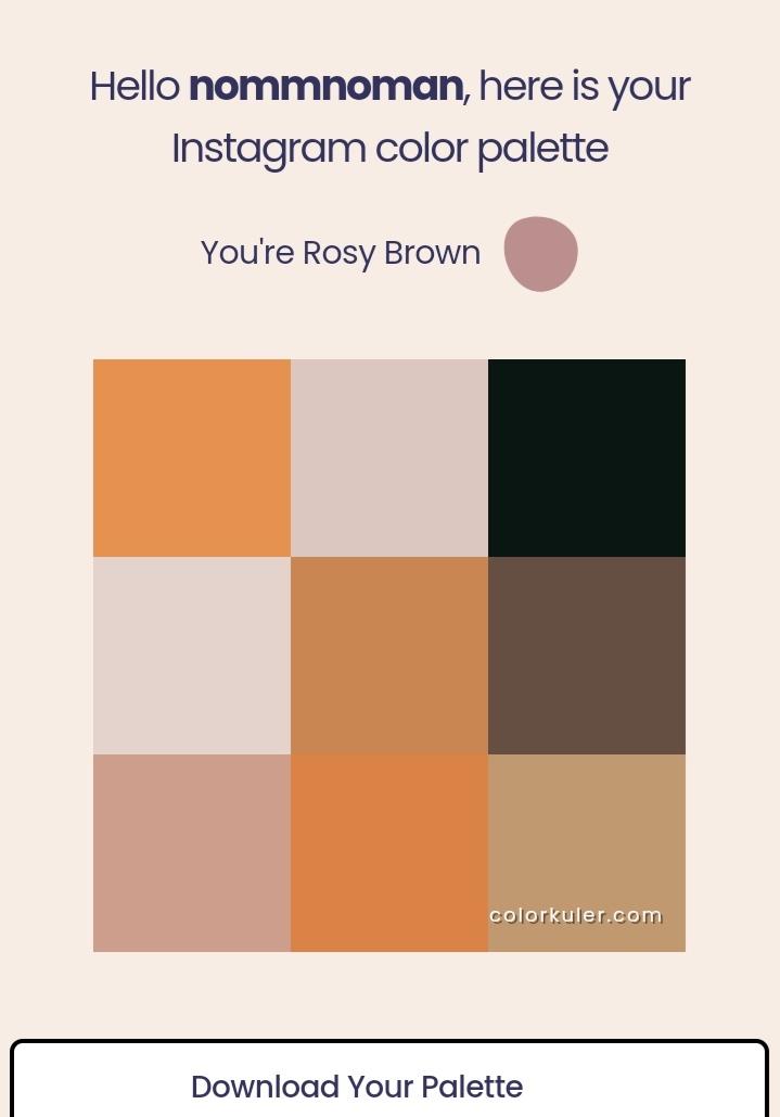 Hoalah rosy brown https://t.co/iv8bWq393D 