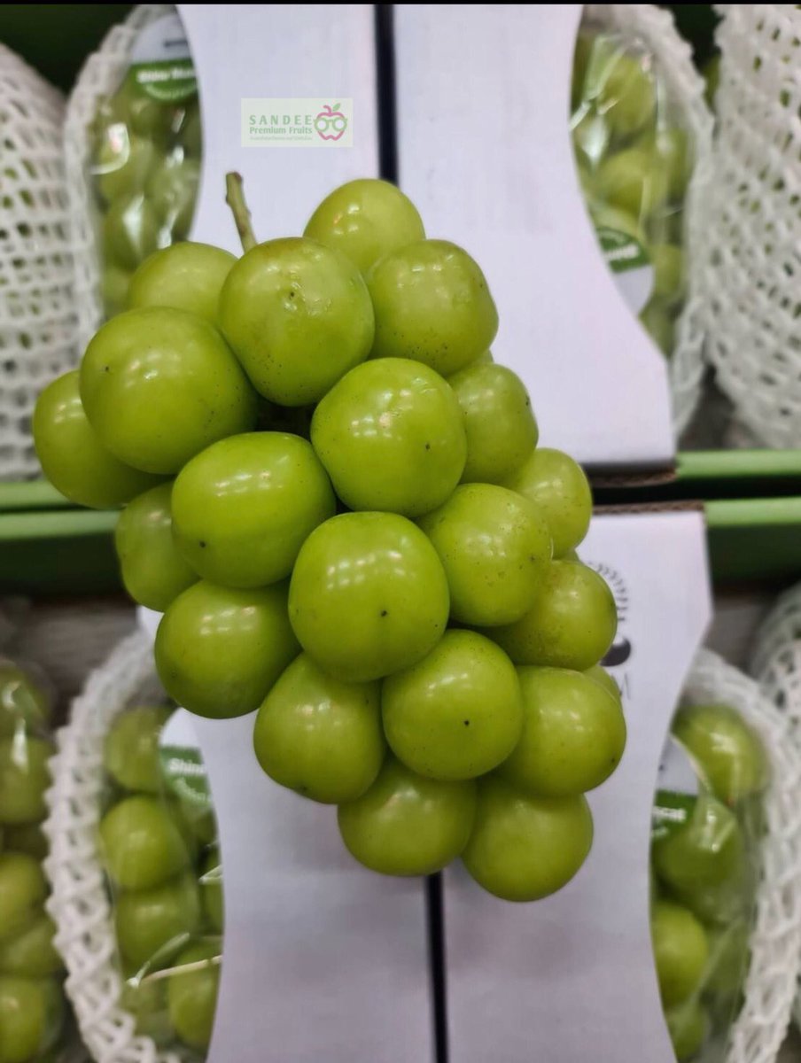 SandeeFruits's tweet photo. ผลไม้เข้าใหม่พร้อมส่งเลยค่ะ
🍎แอปเปิ้ลเอนวี่ ที่สุดของความกรอบ รอบนี้มาsizeเล็กลงแต่ความกรอบไม่เล็กนะคะ
🍈สาลี่หิมะเกาหลี ฉ่ำน้ำ กรอบฟินๆเลยค่ะ 
🍇องุ่น มัสคัตเกาหลี ช่อกำลังดีเม็ดใหญ่ตึง หวานและหอมอร่อยค่ะ 
**งานกระเช้า จัดเซ็ตสอบถามแอดมินได้เลยค่ะ** https://t.co/lWhTCoTE7k