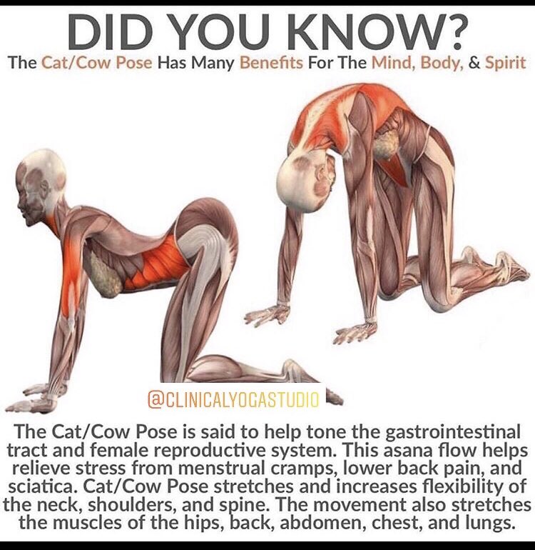 adelphio's tweet photo. ©️ Clinical Yoga Studio ©️

Fb: https://t.co/PkETPPJH3L
Ig: https://t.co/RQYl1tQtEt

Your Personal Hatha Yoga Training https://t.co/D2SJ5dyPIu