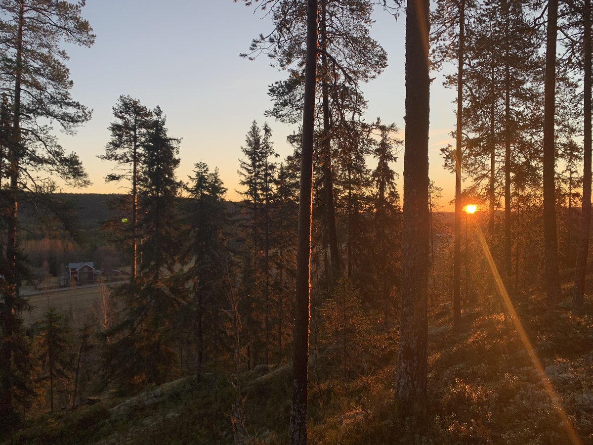 Good morning (part 2) - from the hillside. 