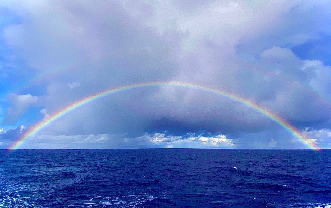 eilonzach's tweet photo. What does this portend for our #OBS recoveries? #PacificArray #PacificORCA https://t.co/IQ7KrxA8e5