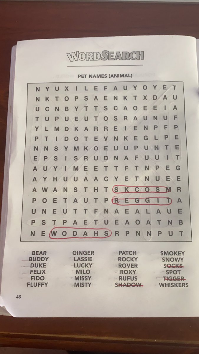 AtThePicnics's tweet photo. @RufusPeabody @jeffma @BetTheProcess The word search agrees with the t shirts! #rufusisadogsname #oneoftheseven https://t.co/mu0HvMJCXc