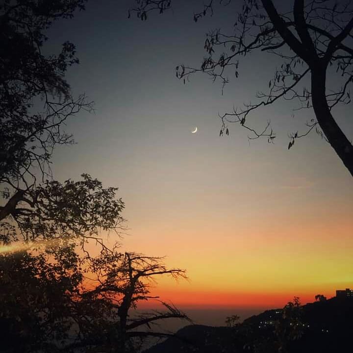 StudioDharma1's tweet photo. Mesmerizing Winter-line at Mussoorie.
Winter lines don’t occur very often or in very many places in the world. But, in the lower ranges of the Himalayas in northern India
@Meerutnews24
@DmMeerut
@MP_Meerut
#streetphotography #studiodharma  #historicsites #incredible_architecture https://t.co/pW3xda31Ra
