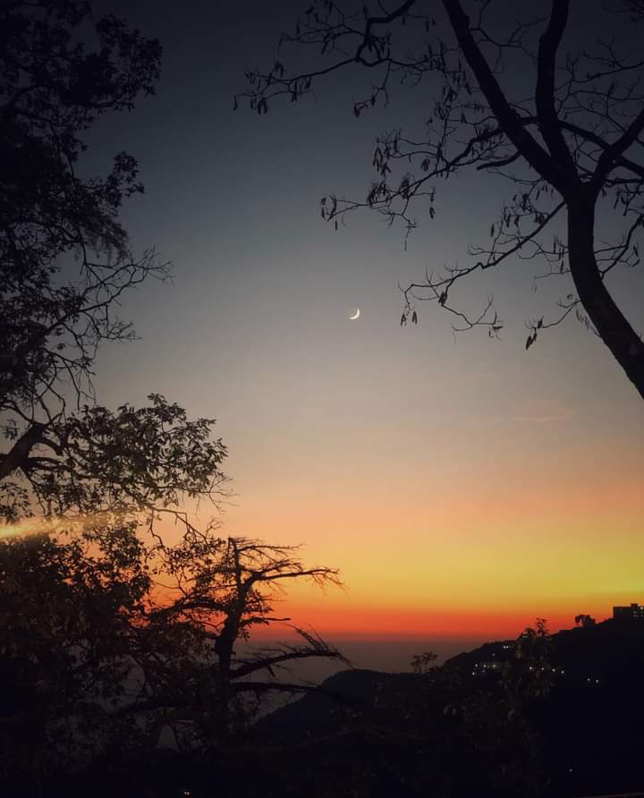 StudioDharma1's tweet photo. Mesmerizing Winter-line at Mussoorie.
Winter lines don’t occur very often or in very many places in the world. But, in the lower ranges of the Himalayas in northern India
@Meerutnews24
@DmMeerut
@MP_Meerut
#streetphotography #studiodharma  #historicsites #incredible_architecture https://t.co/pW3xda31Ra