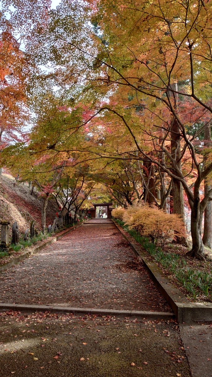 佐野市観光協会 A Twitter 佐野市紅葉情報 11月18日水曜日撮影 金蔵院 見頃までもう少しです 佐野市 紅葉 佐野市の紅葉情報は観光協会hpへ T Co Myothx6opm