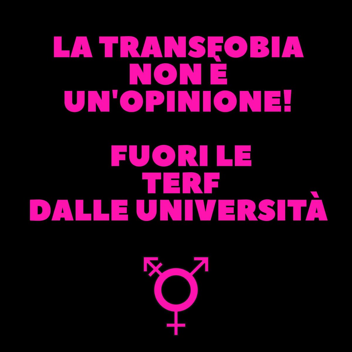 Pasionaria.it tweet media