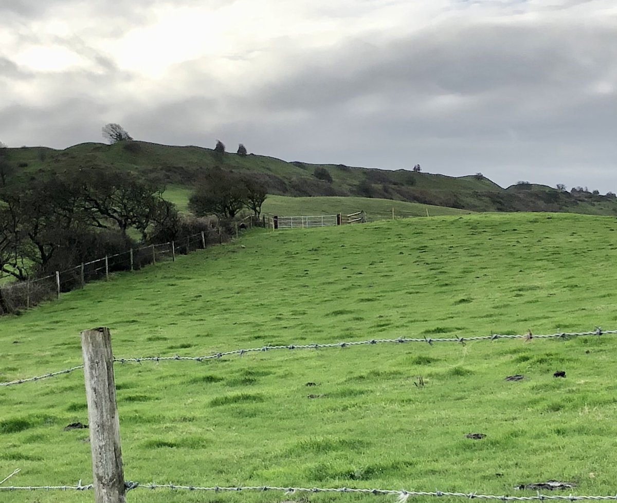 TankieMike's tweet photo. Views from Abbotsbury Castle Hill Fort on a grey Monday. Stunning views normally along the Fleet to Portland and over Lyme Bay #Dorset #hillfortswednesday https://t.co/HHnCpPSXwg