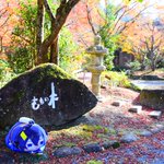 ツイートに含まれる画像