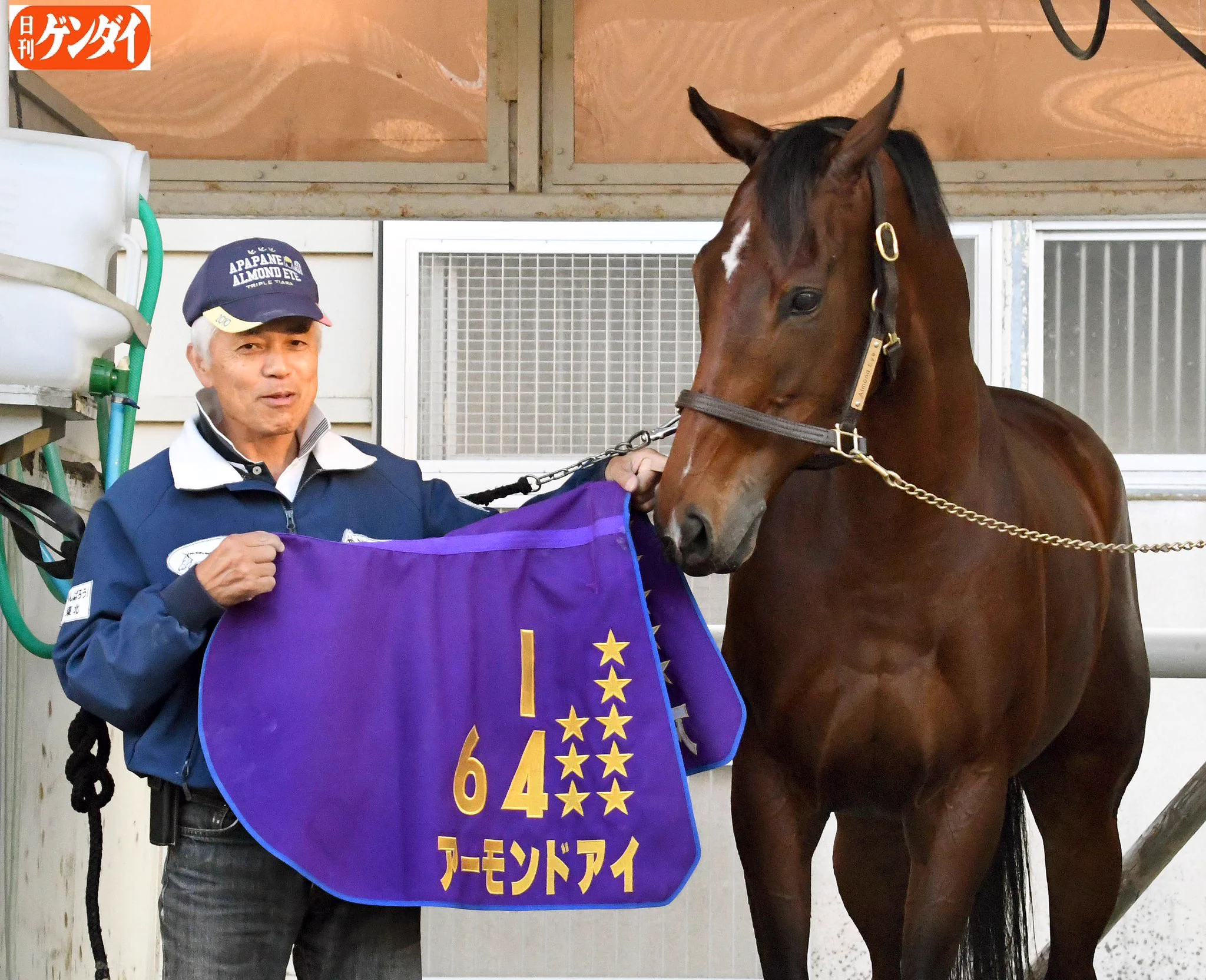 日刊ゲンダイ 競馬 on X: 