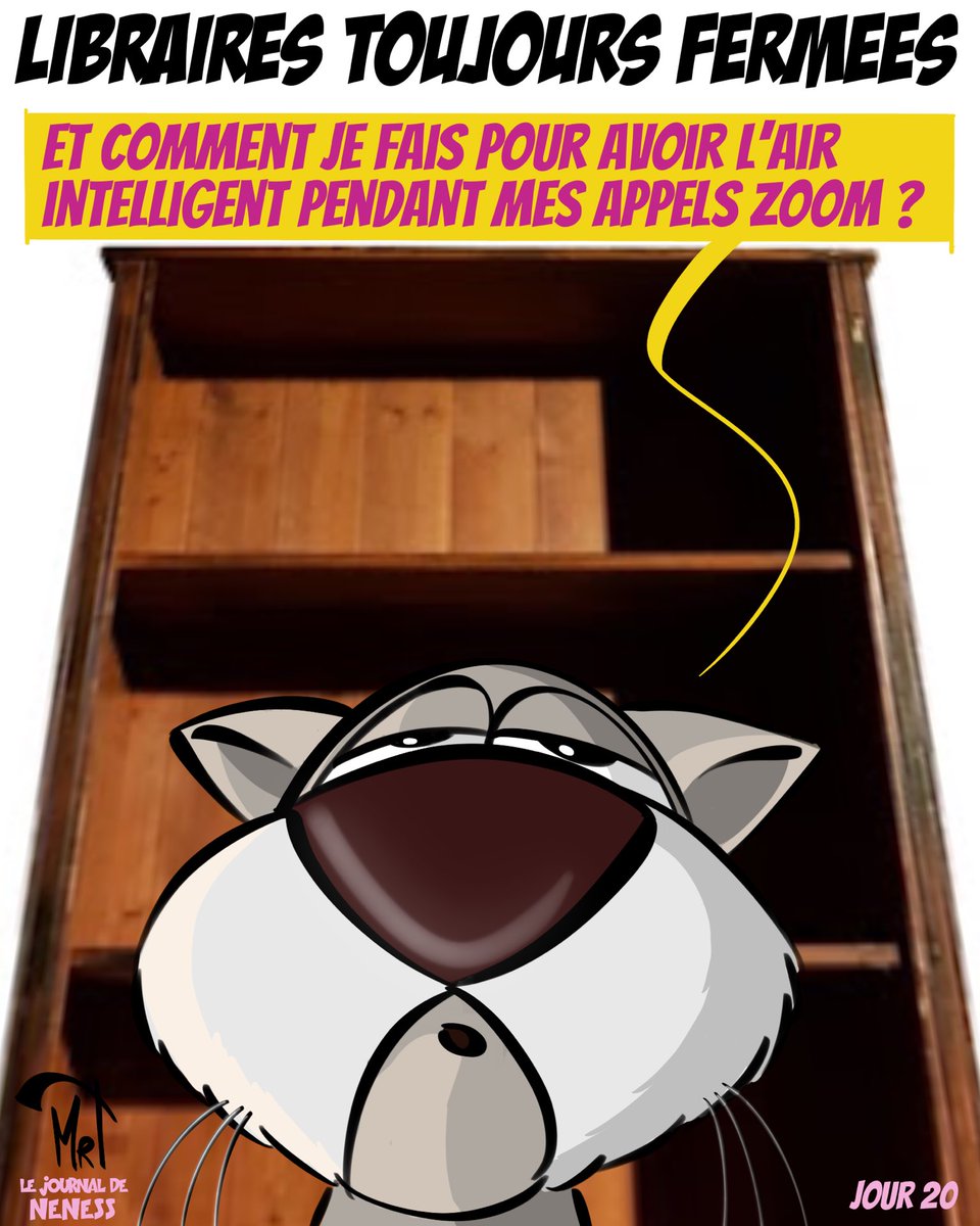 CartoonsMrt's tweet photo. #librairiesouvertes #libraires #petitscommerces #livres #culture #zoom #neness #confinement2 https://t.co/KMlITyBgm4