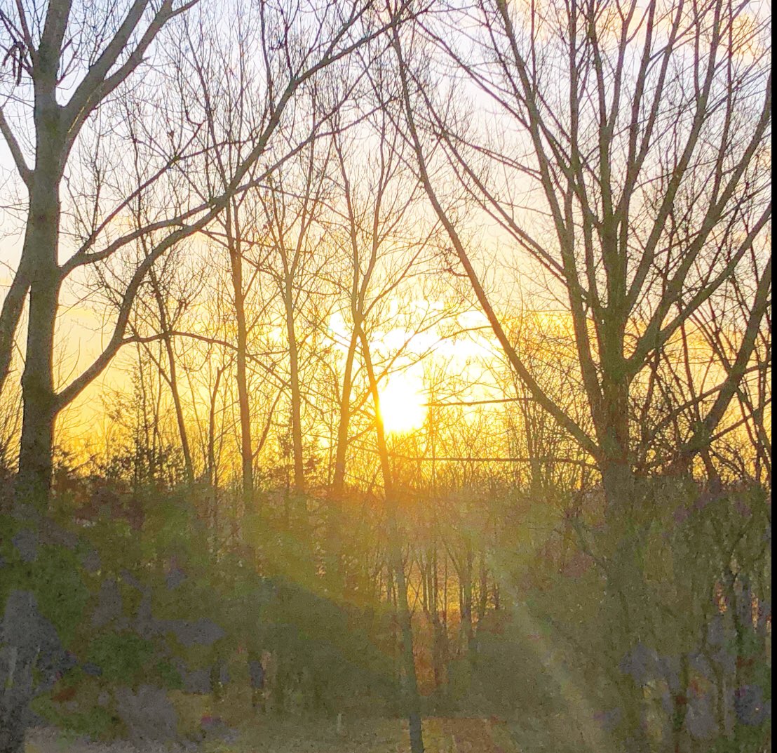 triboardbus's tweet photo. From Fish Creek Rd to Fish Lake Rd and everywhere in between, we welcome sun in these dark pre-solstice mornings. Glare for drivers is, however, the down-side. Keep well back from the road while waiting for the bus! #squint #raybanson https://t.co/2yF6YdmjcX