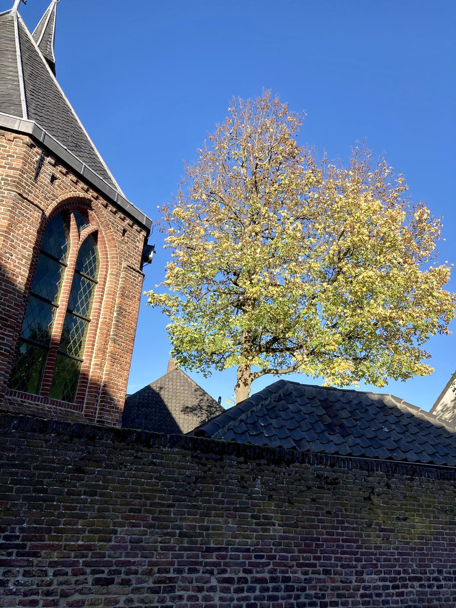 armendepoth's tweet photo. De herfsttinten kleuren prachtig bij de strakblauwe lucht. Het lijkt wel #Indiansummer bij hofje De Armen de Poth.  #Herfst #Amersfoort https://t.co/wlWY0hjpRF