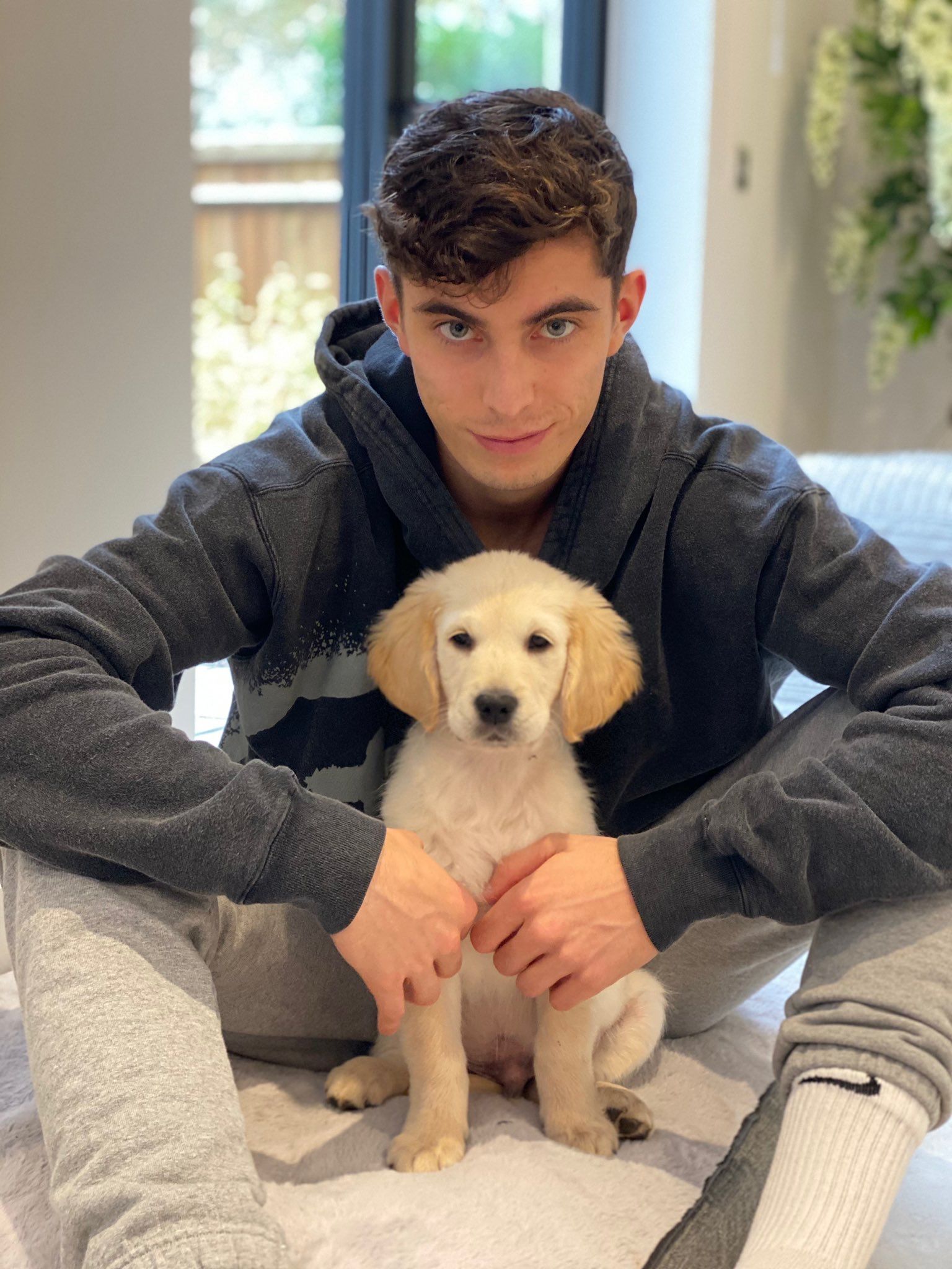 WARMING HOME: Kai Havertz enjoys joy with his small, cozy family after an impressive Euro season - His playful and happy moments with his fiance and adorable little dogs ‎