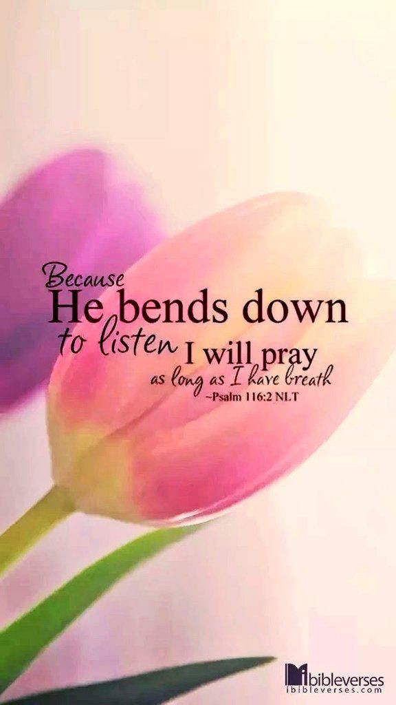ministerricky1's tweet photo. @EllahieCooking #ThankYou Lord for TEACHING us #ToPray, for EMPOWERING us #InPray through Your #HolySpirit
Prayer is a #HumblingExperience, recognizing Your #AuthorityAndAbility, it #ShowsOurFaith
When We PRAY in #RighteousFaith seeking Your #WisestWill it's effective
#IJCN,TY
#EuropaAfricaUS https://t.co/NsESWjh9nO