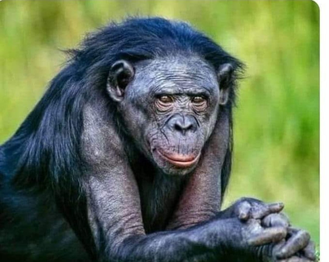 TumeloMampane's tweet photo. @PleasurePeta Mosadi Ke tshweni olewa mabogo https://t.co/AjAeRwNWdm