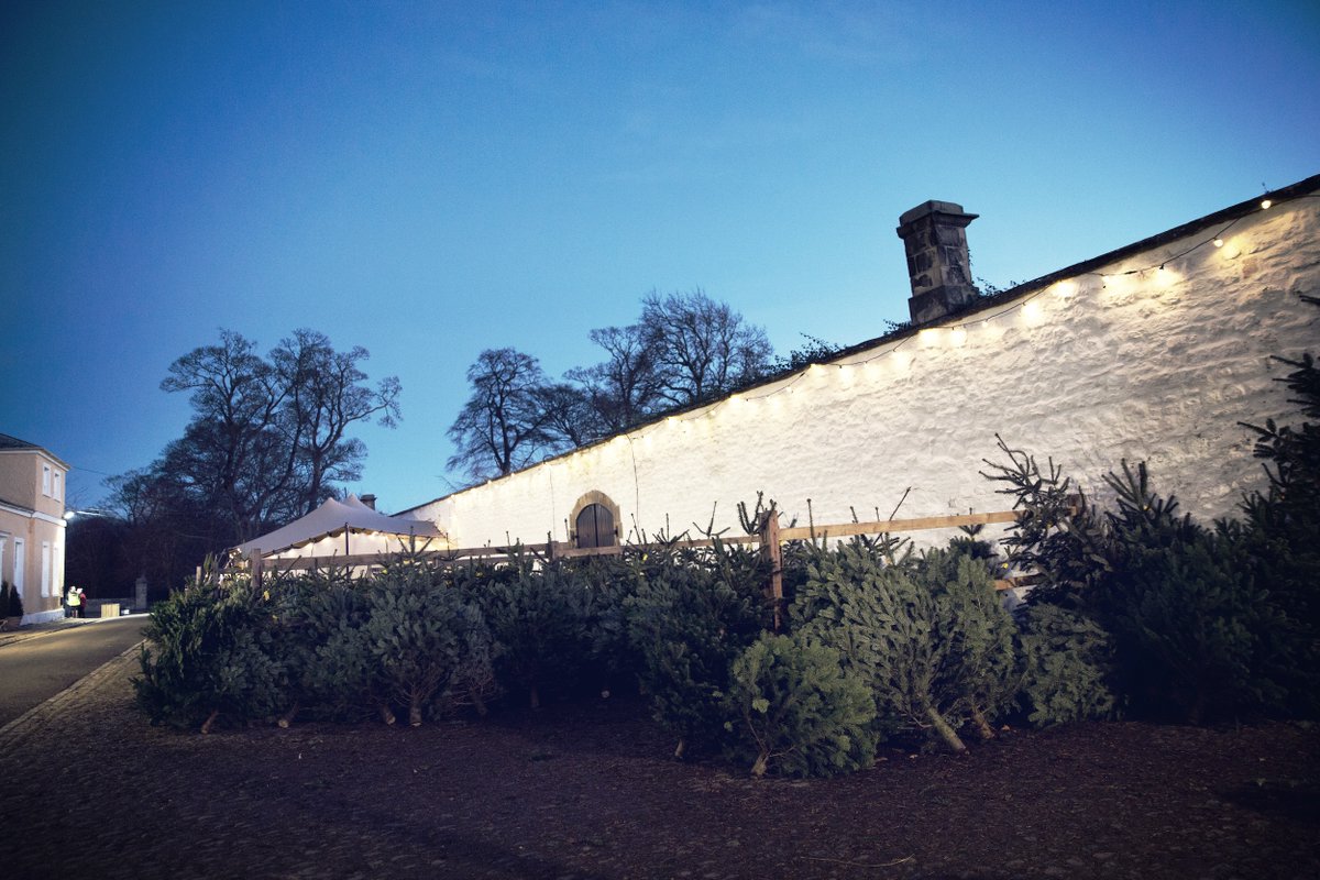 RabyCastle's tweet photo. We're delighted to confirm that we will be selling locally grown Raby Christmas trees again this year. More details to follow later this week! 

#rabycastle #christmastrees https://t.co/HsguTgzhQP