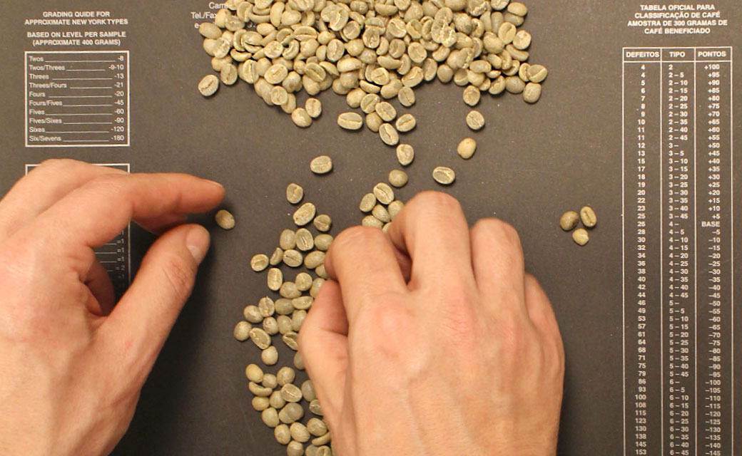 cafespont's tweet photo. 👉👉🏽 Un cop arribat el cafè comprat d'origen i com a pas previ al tast, procedim a comprovar-ne la qualitat a partir de diferents criteris com la mida, color, avaries...
#controlqualitat #coffeebeans #arabica #cafespont https://t.co/xZw0BYRHqT