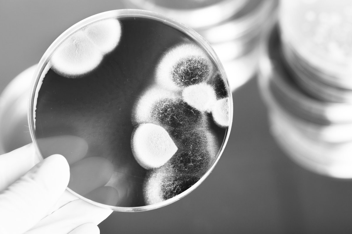 In the meantime, the UK government has still not committed to a ban on preventativeantibiotic group treatments of livestock, saying instead that it will consult with interested stakeholders on the issue. We await further details on this consultation.  #WAAW2020