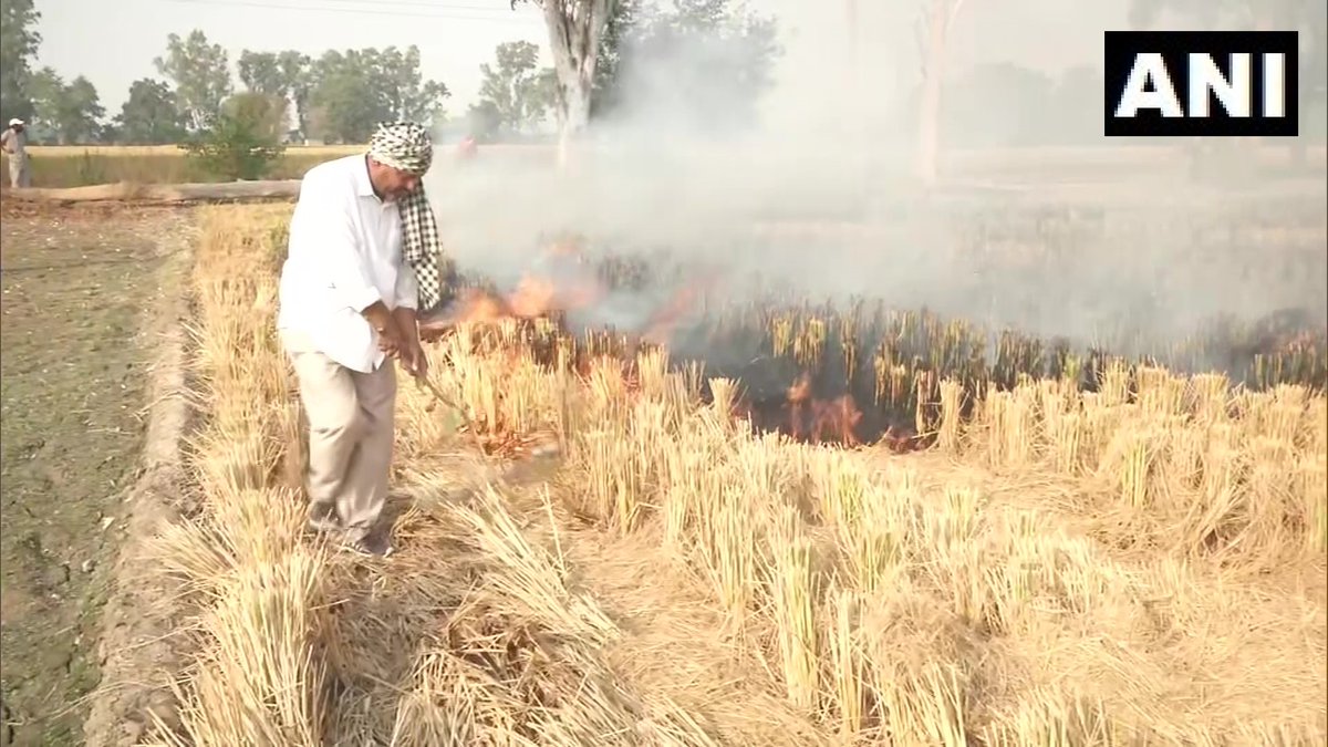 Punjab: Farmers near Jalandhar's Phillaur continue to burn stubble.
"We are helpless, we don't have any option. The government doesn't help us or provide any kind of subsidy," says a farmer https://t.co/L1qeWH9IoN