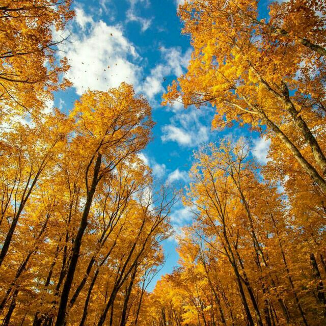 3yedalisattari's tweet photo. #پای_نهم_بر_آسمان_گر_به_سرم_امان_دهی https://t.co/eNTjIEG0nL