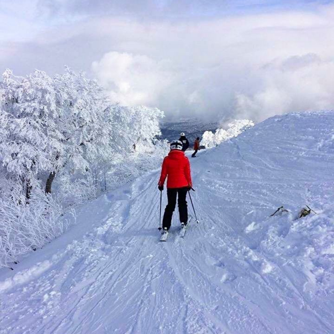 Emily (Winch) Jaksch tweet media