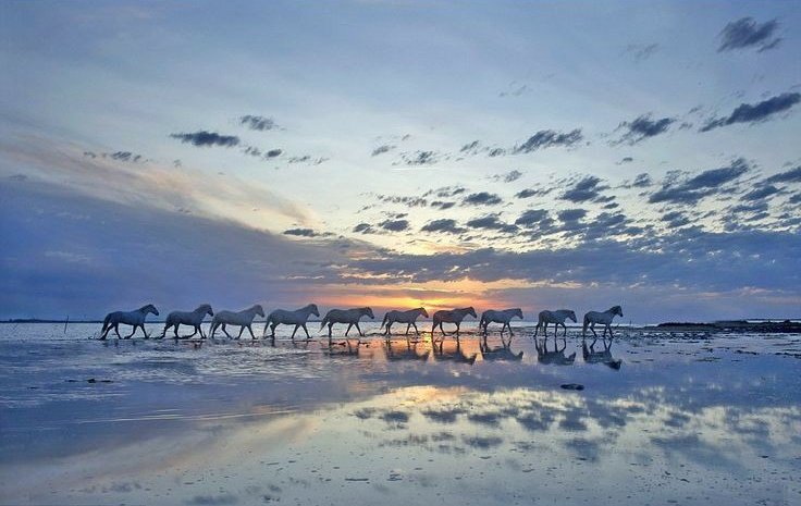 EARTH_PIS's tweet photo. Good evening https://t.co/4I9wH0FBXc